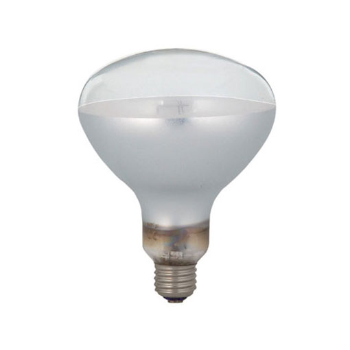 セルフバラスト水銀ランプ160W→LEDランプに置き換え | 水銀ランプの