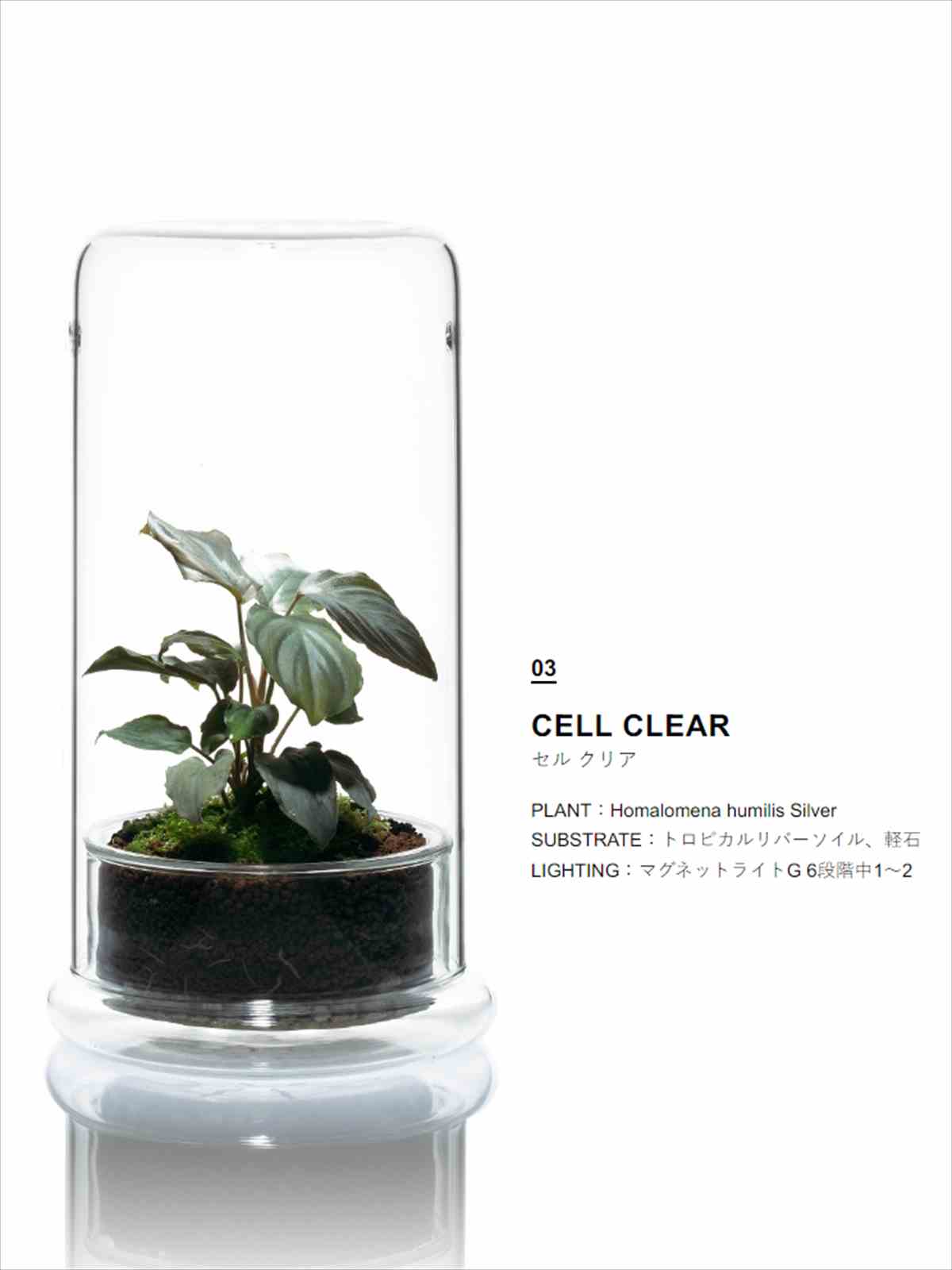 DOOA DOOA CELL クリアの販売 (アクアマリン熊本)