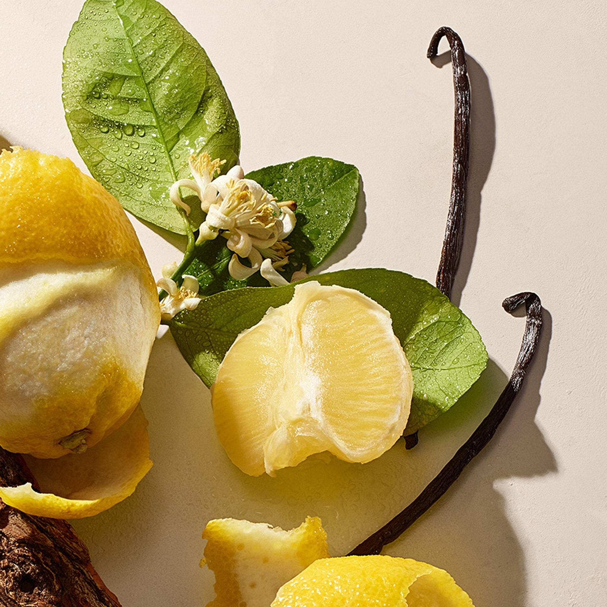 Argan Moisture Plump Shampoo - Citrus Vanilla – JOSIE MARAN