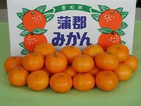 蒲郡みかん 優L10kg: あいちゴコロ|【JAタウン】産地直送 通販 お