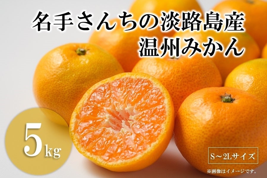 名手さんちの淡路島産温州みかん（約5㎏）: あつめて、兵庫。|【JA