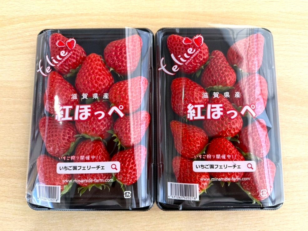 滋賀県産いちご「紅ほっぺ」2Lサイズ 約250g×2パック: 近江の味彩