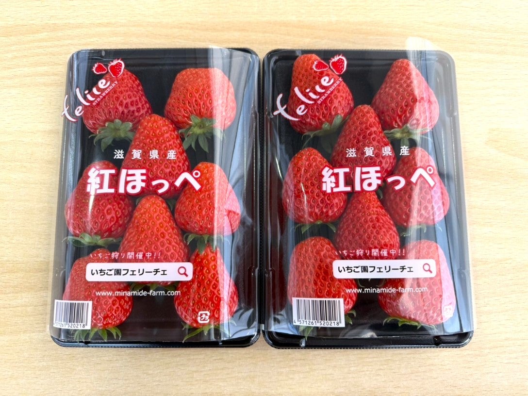 滋賀県産いちご「紅ほっぺ」3Lサイズ 約250g×2パック: 近江の味彩