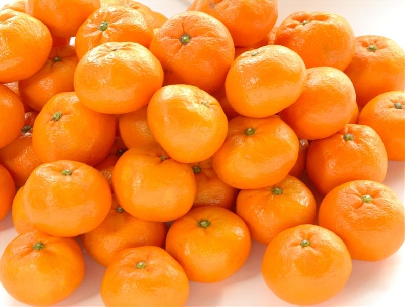 ORS50W】②特選温州みかん「サンエース」約5kg（約2．5kg×2