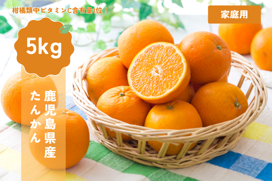 鹿児島県産たんかん5kg(家庭用): JA鹿児島県経済連 鹿児島の味