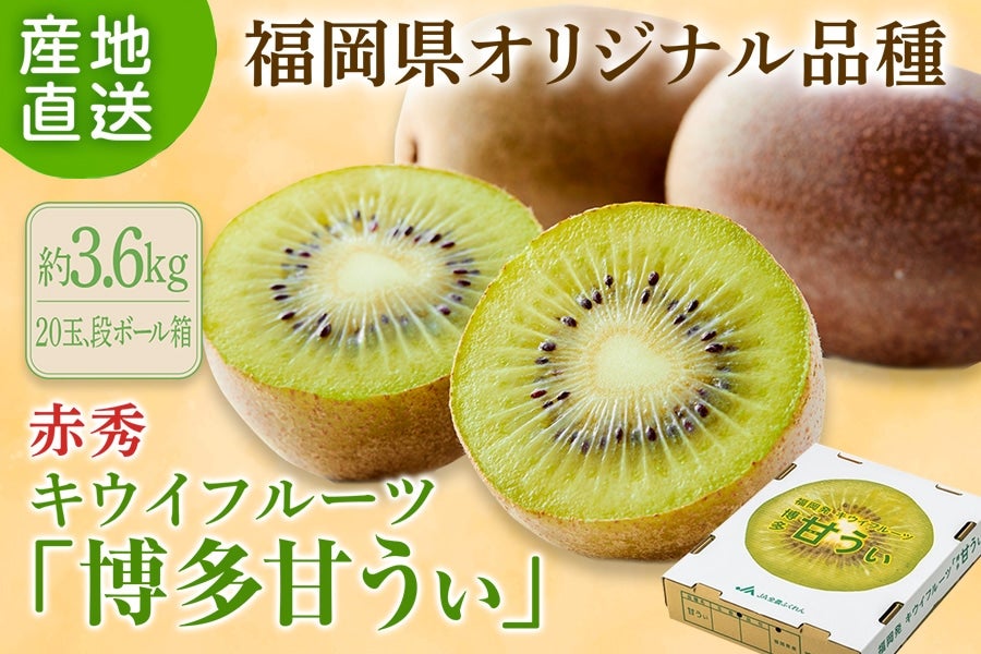 2026年10月予約開始予定】◎福岡県オリジナル品種 キウイフルーツ