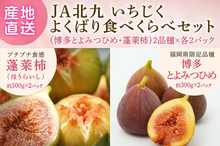 2026年6月下旬予約開始予定】◎JA北九 いちじくよくばり食べ比べセット