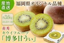 2026年10月予約開始予定】◎福岡県オリジナル品種 キウイフルーツ