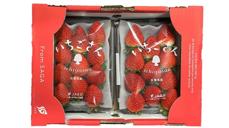 佐賀県産 いちごさん 約240g×4パック: さが風土館 季楽|【JAタウン