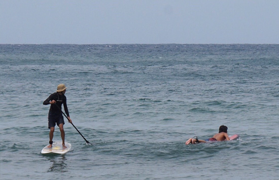 C4 WATERMAN SUP入荷│JAU / ジャウー | REMILLA, GOHEMP, AREth