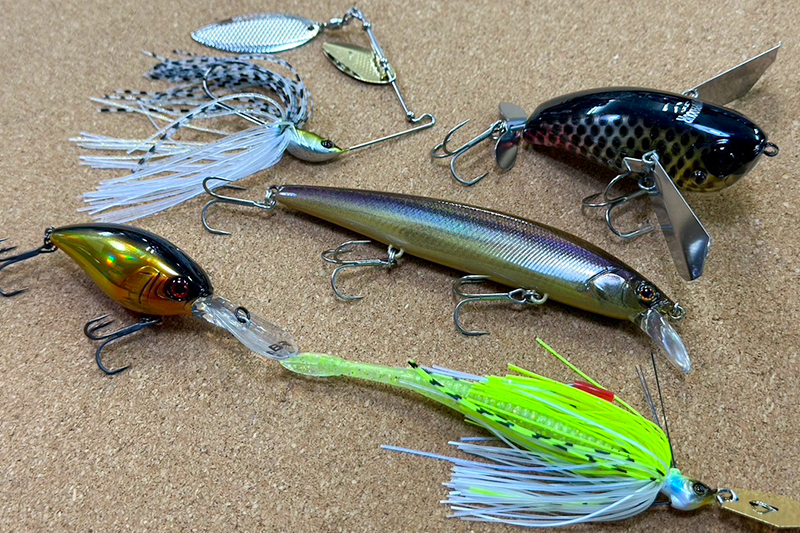 巻物の秋がやってきた！/中根翼 - FRESH WATER バス釣り ｜JACKALL