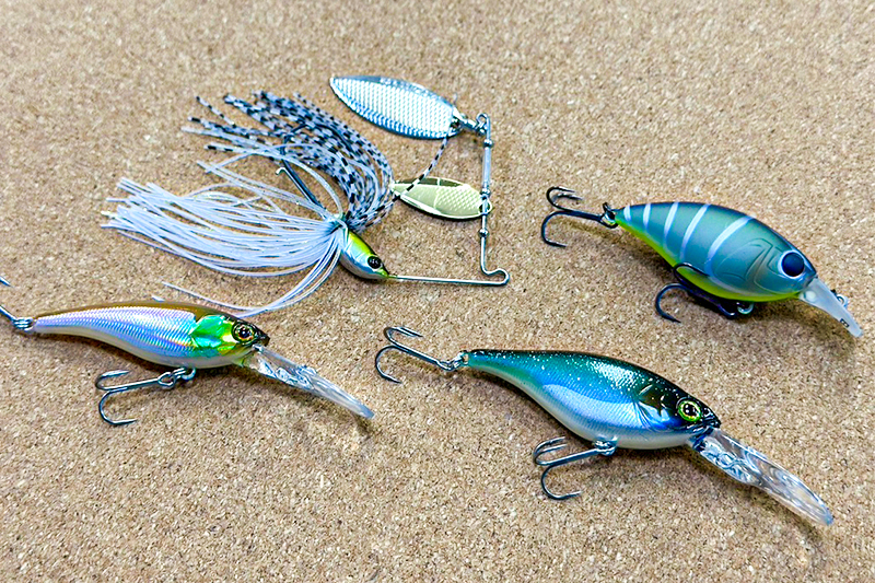 巻物の秋がやってきた！/中根翼 - FRESH WATER バス釣り ｜JACKALL