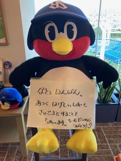 お久しぶりです。つば九郎支配鳥です。/日本青年館ホテルのブログ