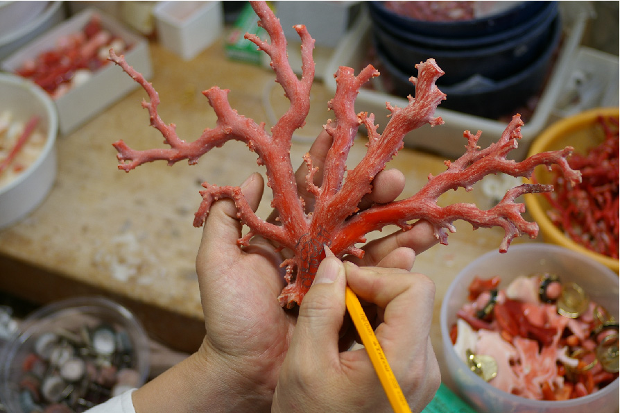宝石珊瑚について | 日本珊瑚商工協同組合