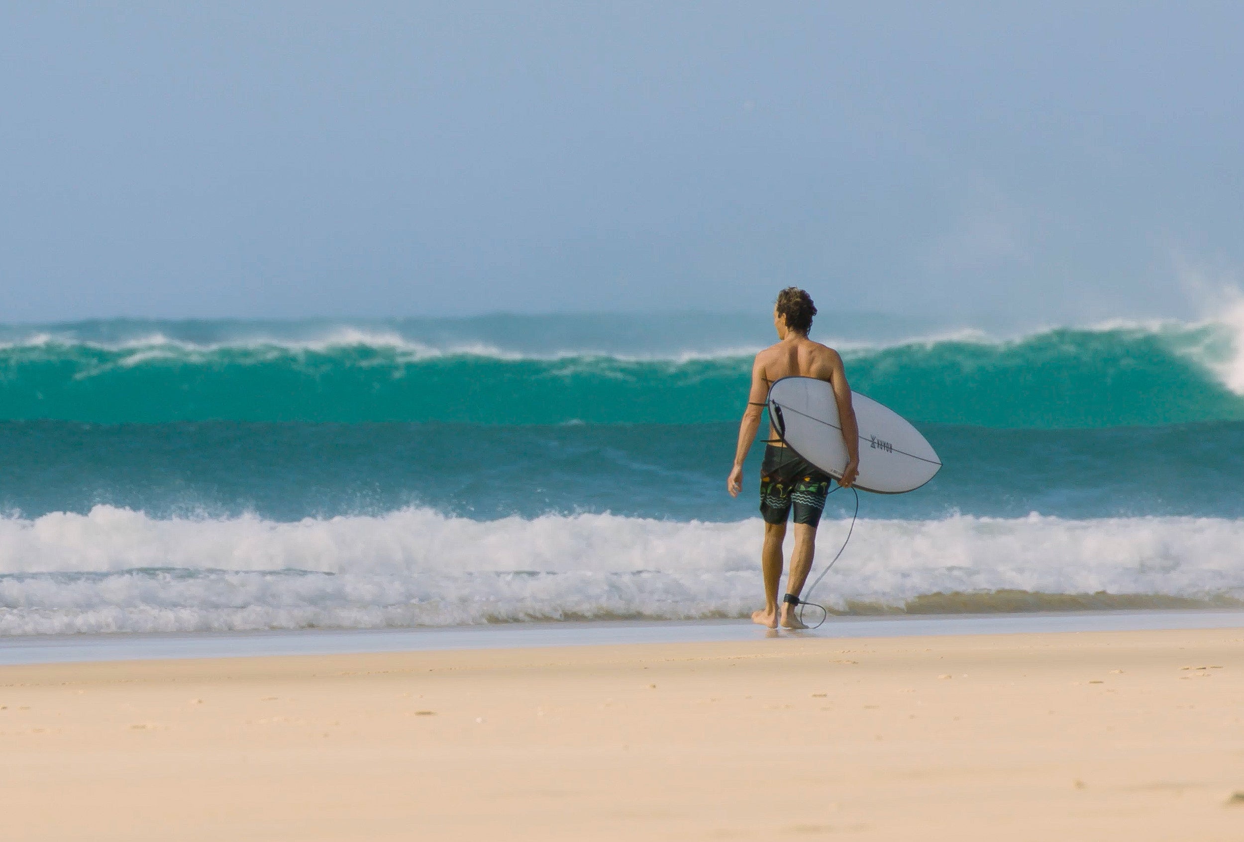 JS-エル バロン – JS Industries Japan