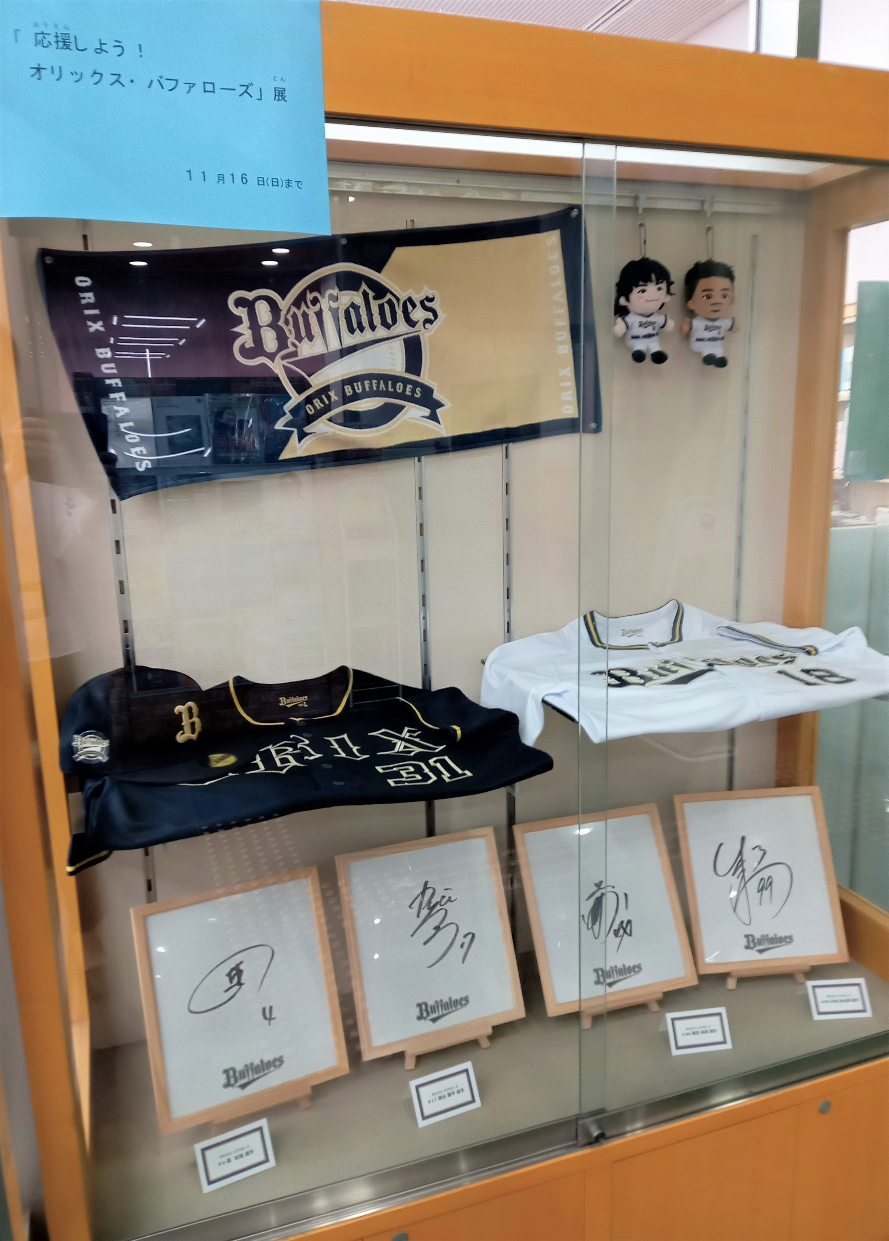 終了】ケース展示「応援しよう！オリックス・バファローズ」展 11月16