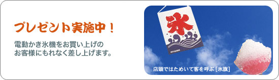 初雪かき氷機 HF-300P - 業務用調理器具・キッチン用品・厨房機器の