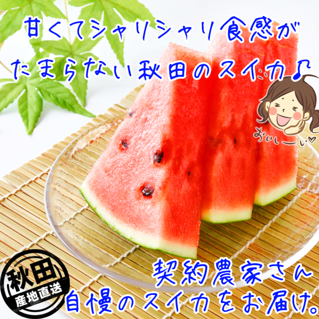 秋田県産,すいか,JAこまち「あきた夏丸チッチェ」 L×2玉入り 5kg