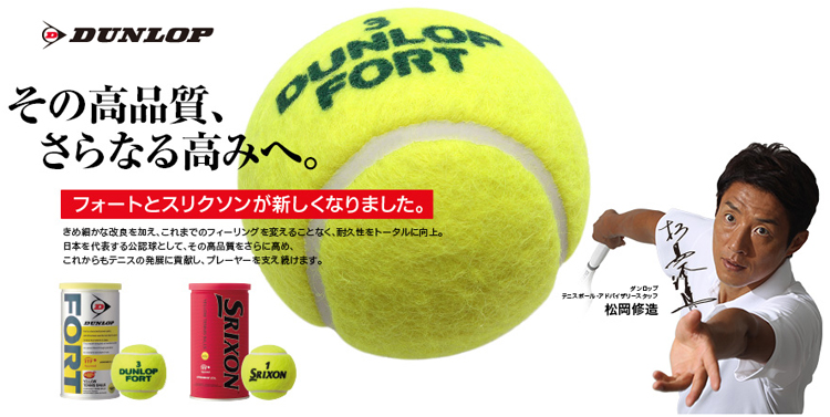 ダンロップ(DUNLOP) 硬式テニスボール フォート 2球入缶 (FORT 2BALL