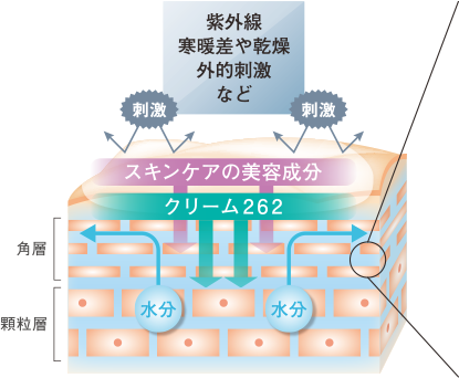 マリアギャラン クリーム 262 | 公式サイト／ラフォーレ（LAFORRE）