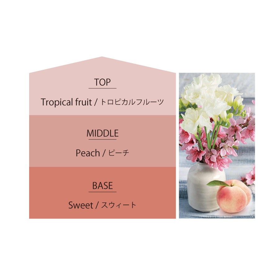 ☆数量限定☆【Ashleigh & Burwood】アシュレイ＆バーウッド