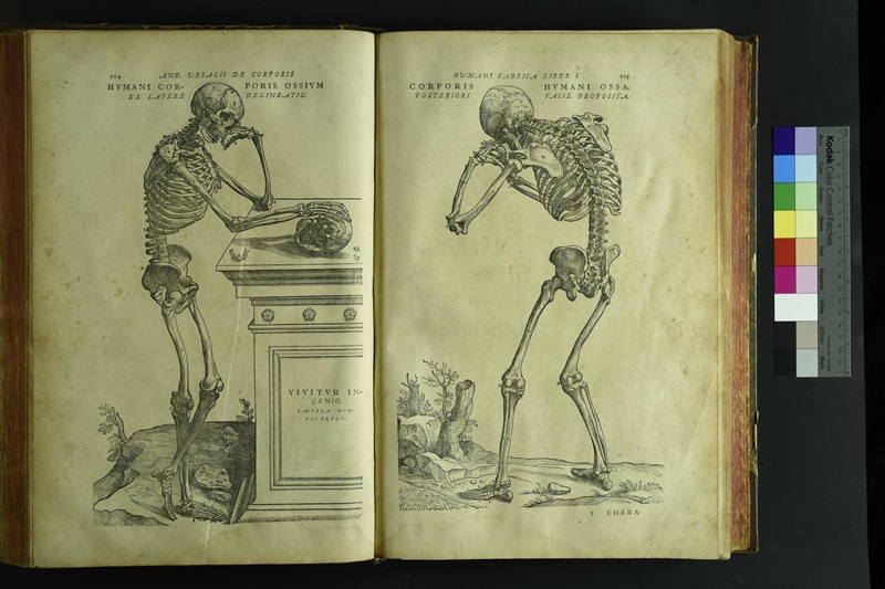 第6章 ヴェサリウス | 九州大学附属図書館
