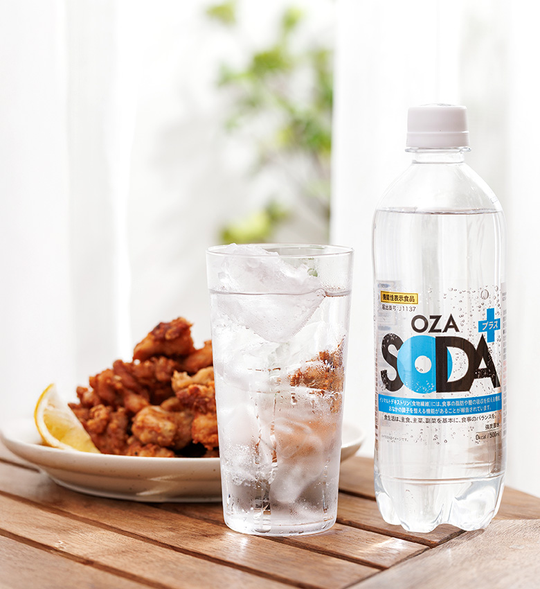 炭酸水「OZA SODA プラス」500ml×24本 機能性表示食品の通販