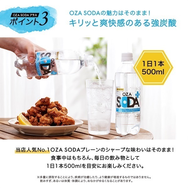 お得定期便 炭酸水「OZA SODA プラス」500ml×24本 機能性表示食品の