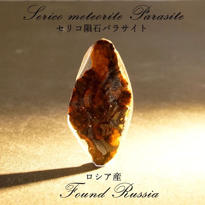 一点物】 セリコ隕石 ケニア産 パラサイト Serico meteorite Parasite