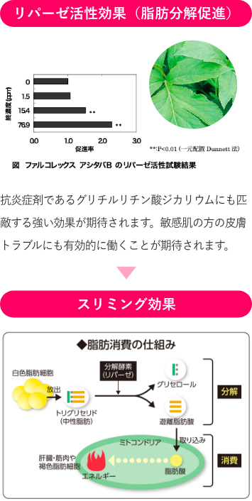 リンパケア専用スキンケア化粧品GLOW ENVYシリーズ オールインワンDLA