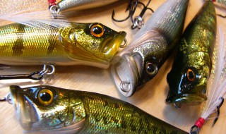 メガバス × アーキテクト DOG-X （S） 首藤武蔵リペイント 丹沢SP