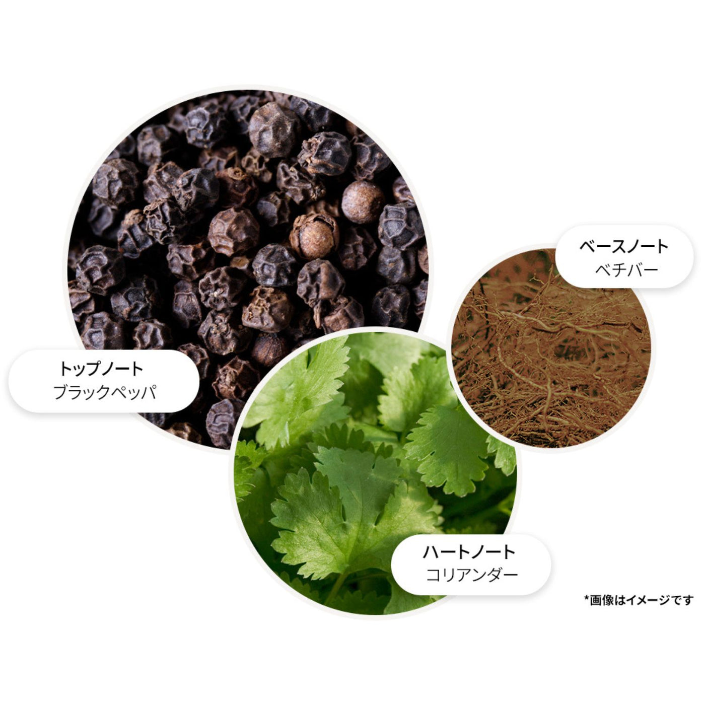 ブラックペッパー アロマリード 150ml – MOLTON BROWN