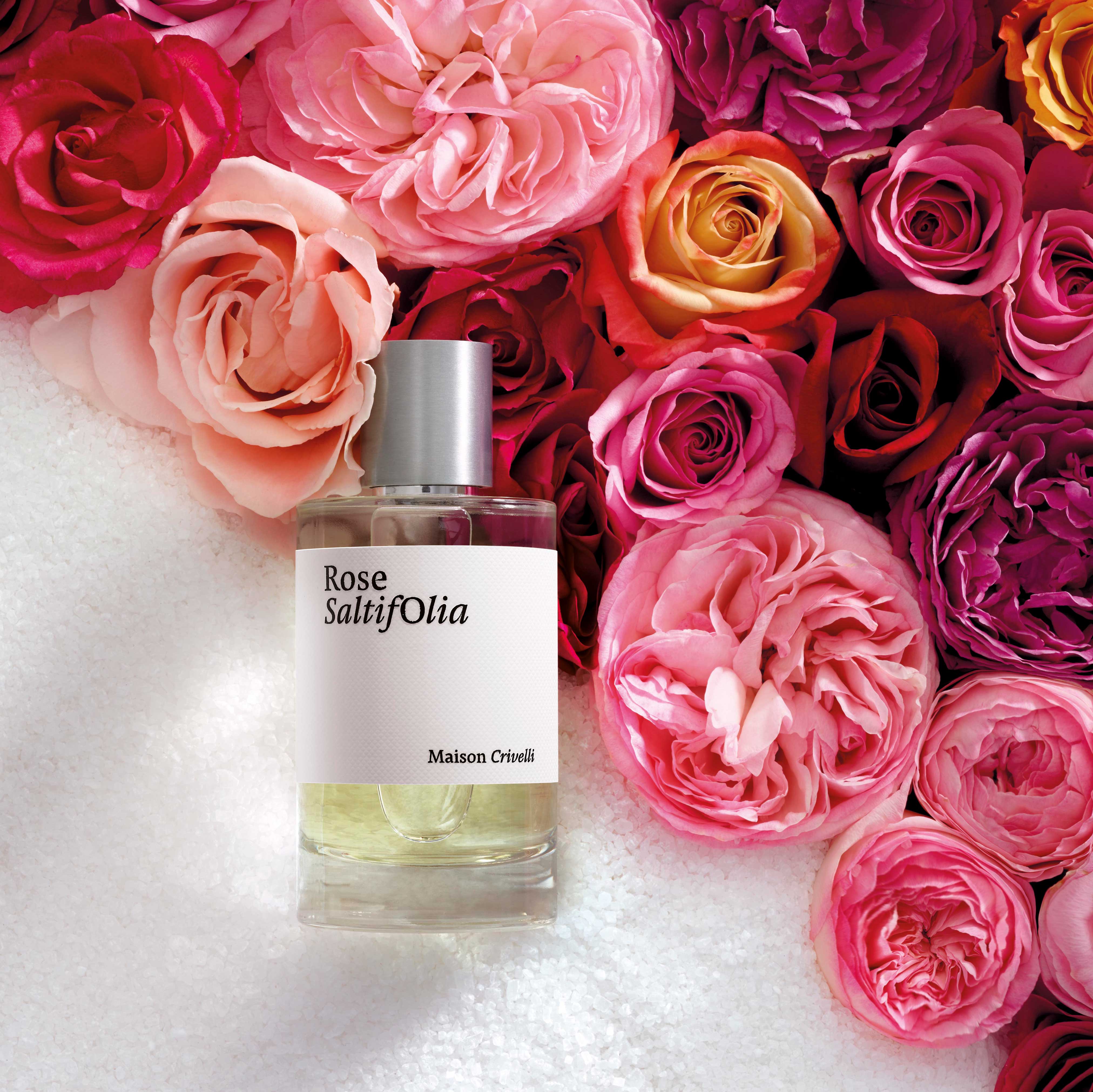 Rose Saltifolia EDP by Maison Crivelli