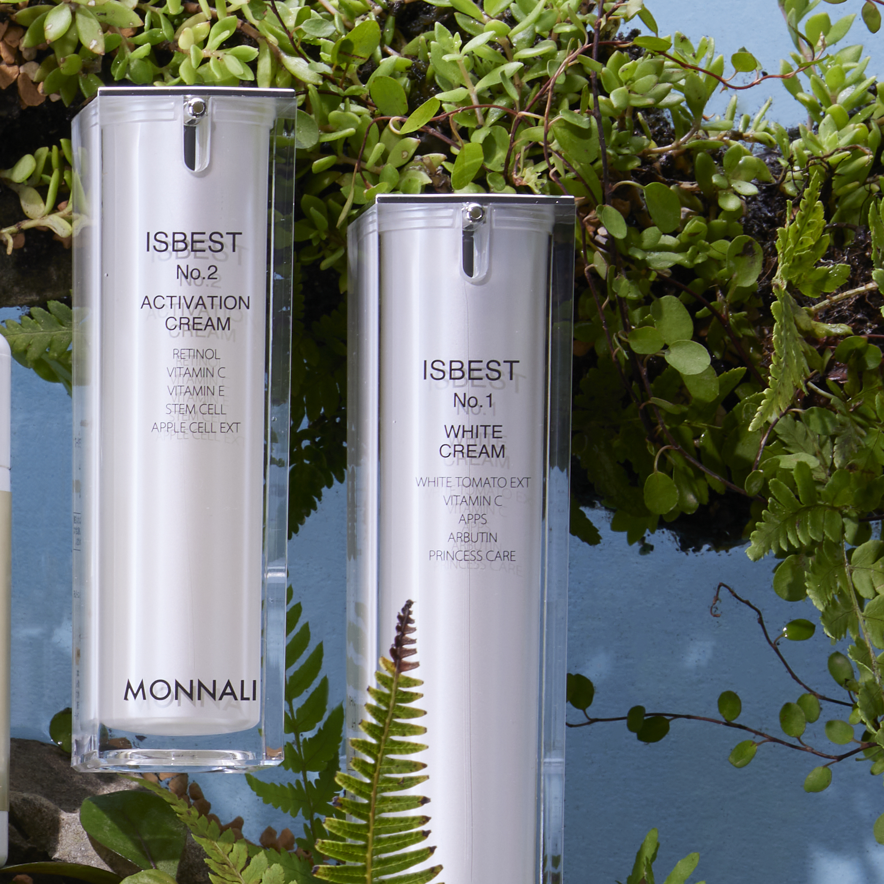 TR50 VCエッセンス | MONNALI