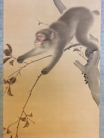 Mori Tetsuzan monkey｜Matsumoto Shoeido | Japanese Paintings and