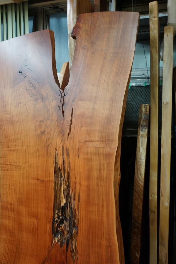 天然木 東京 新宿 東五軒町展示 楠（くすのき）材 一枚板 セール｜一枚