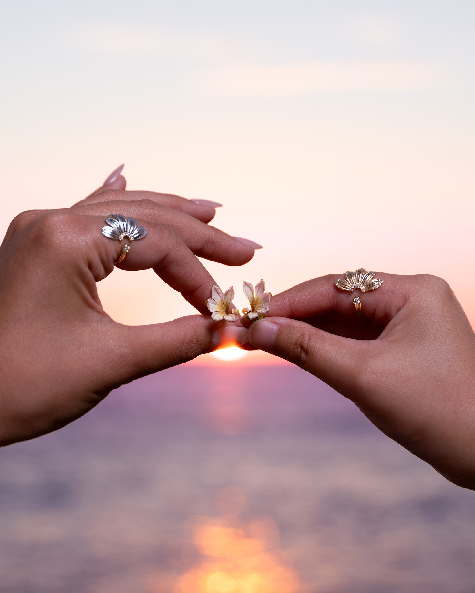 Maui Divers Jewelry - Exclusive Made in Hawaiʻi Jewelry since 1959