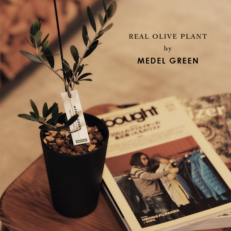 繁栄の象徴シリーズ 」 MAX MATERIA feat MEDEL GREEN ◇フェイス2P＆