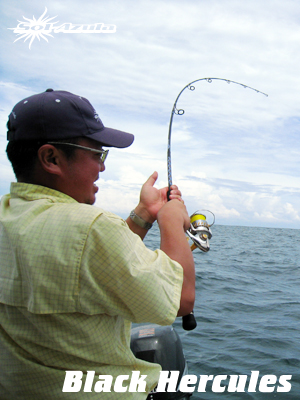 マングローブスタジオ　Black Hercules 7955S Mangrove Studio > Black Hercules /7-7.9ft