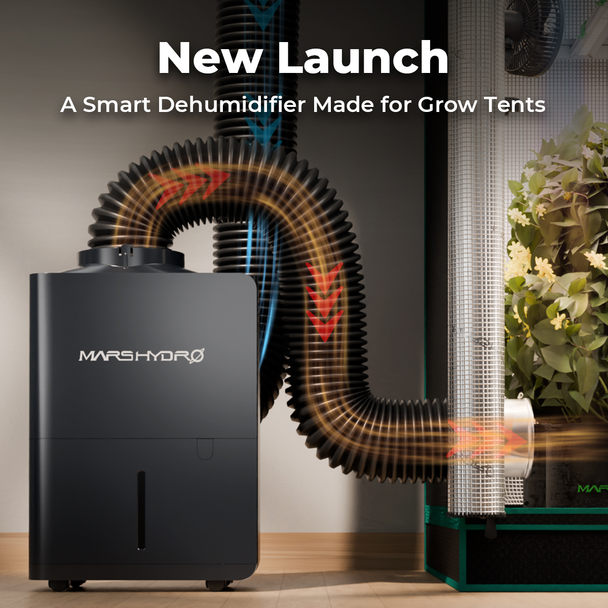 Black Friday Sale - FC4800 EVO Samsung 480W | Mars Hydro| 2025