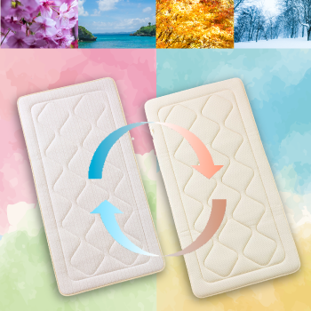 株式会社丸八ホールディングス ｜ 商品のカテゴリー ｜ 季節商品（春夏