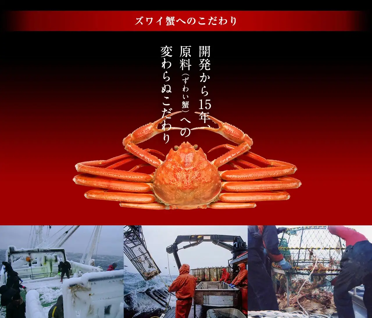 大特価SALE☆10,800円送料無料！】プレミアム特大サイズ限定！【130万