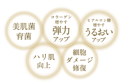 DR ISHII SPECIAL | MD化粧品公式サイト