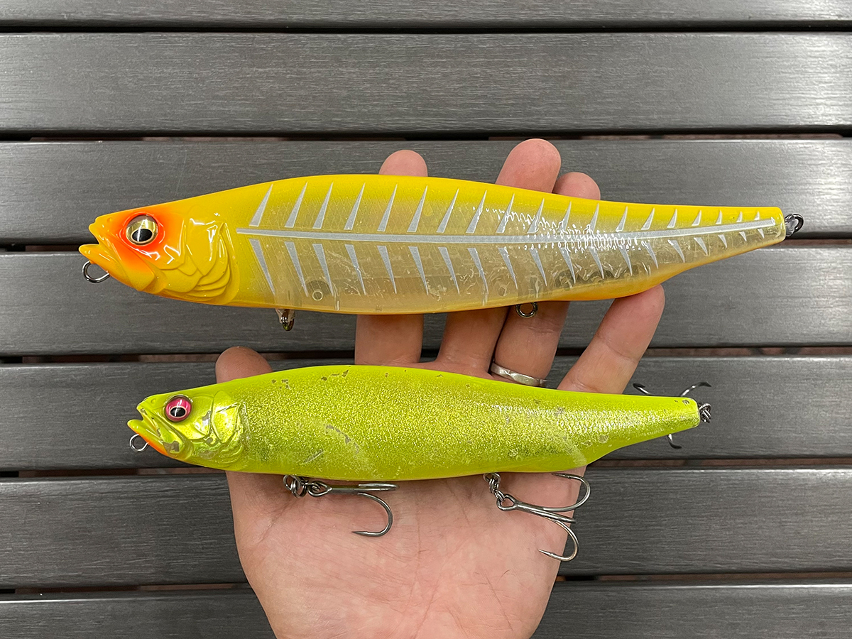 MEGADOG180で“ドッグ・ラン” | Megabass-メガバス