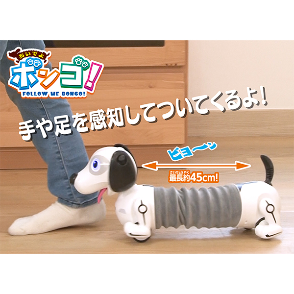 おいでよ ボンゴ！｜商品情報｜メガトイ｜メガハウスのおもちゃ情報サイト