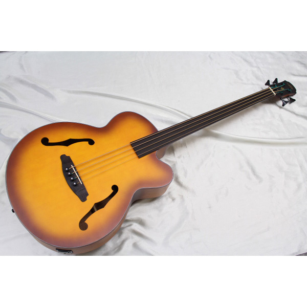 Aria(アリア) FEB-FL アコースティックベース フレットレスベース の