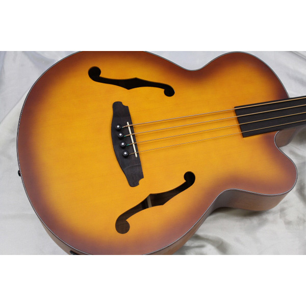 Aria(アリア) FEB-FL アコースティックベース フレットレスベース の