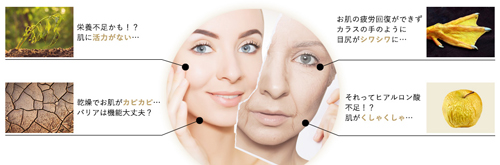 MAJOR | 2025年 マジョール タイムレスリペアクリーム 50g