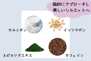 マッコイ | ノンFシェイプEX 250g