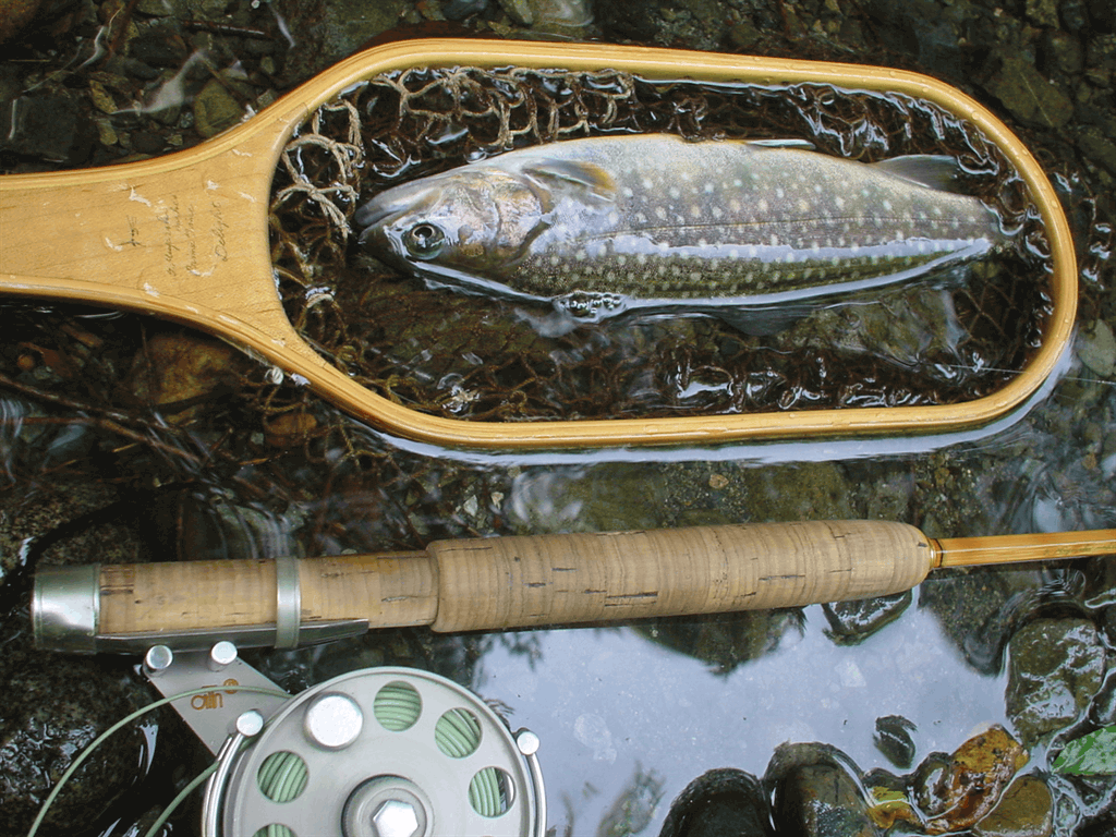 私の愛用ロッド - 宮崎ロッド・Prime Time バンブーロッド